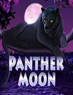 แทงบอล over คือ เทคนิคการเล่นที่ต้องรู้